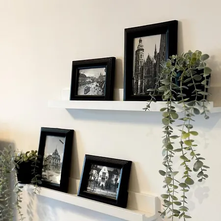 Palace Apartment, Center Of Koszyce